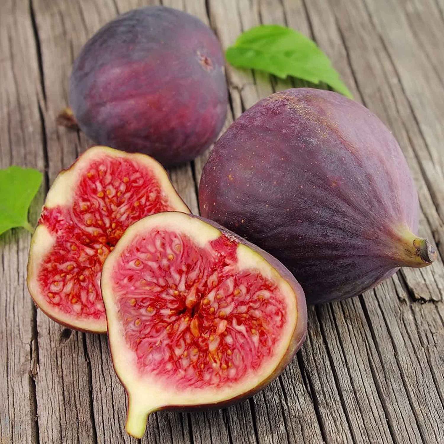 500+ Fig Seeds Sweet Fruit Shrub Fig Tree Seeds for Planting