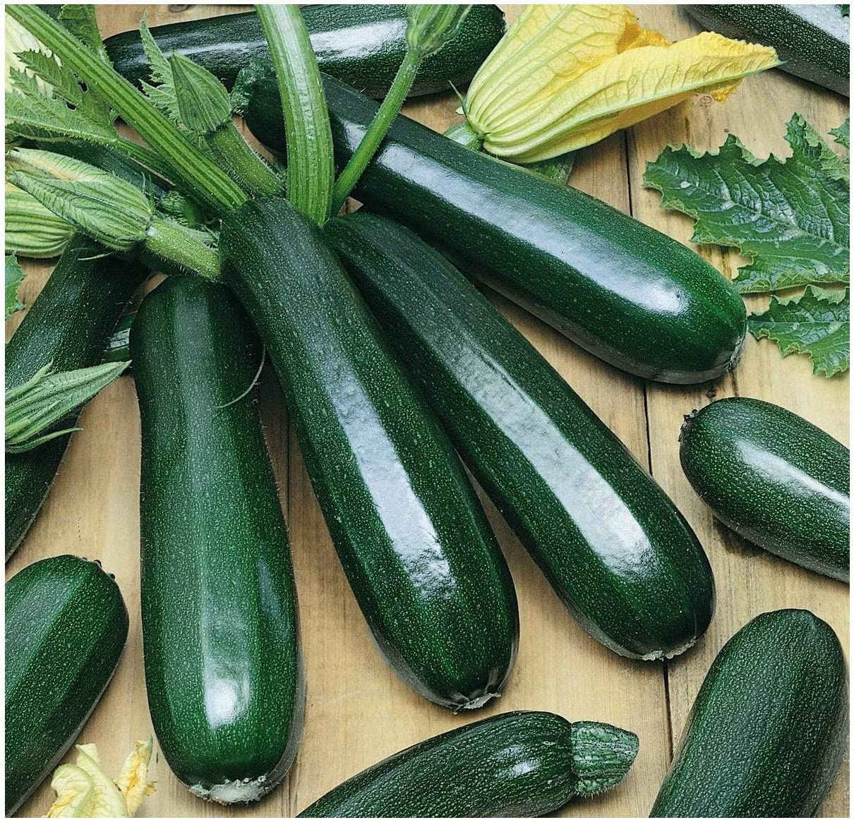 David’s Garden Seeds Zucchini Black Beauty FBA-0007 (Green) 25 Non-GMO, Heirloom Seeds